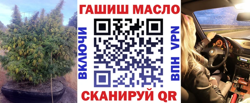 где найти   Бологое  Дистиллят ТГК гашишное масло 