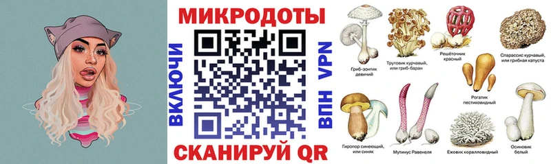 хочу наркоту  Бологое  Псилоцибиновые грибы Cubensis 